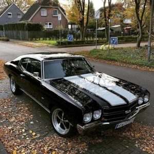 Auction Happening Now