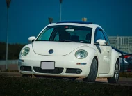 Volzwagen Beetle